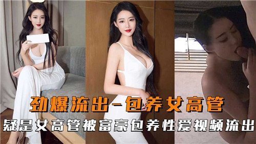 极品女高管被富豪包养，骚穴狂干内射高清流出