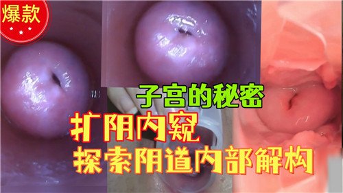 JUL-233 极品人妻医疗调教 扩阴器深挖骚穴内窥全景