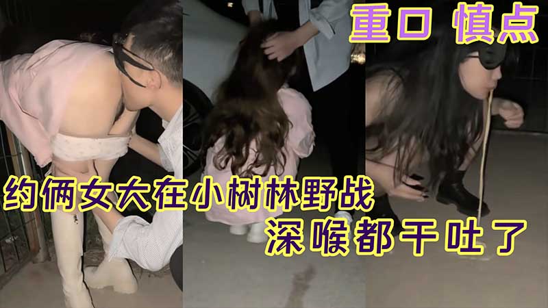[无码] 双飞女大学生小树林野战 深喉爆操干到吐白沫