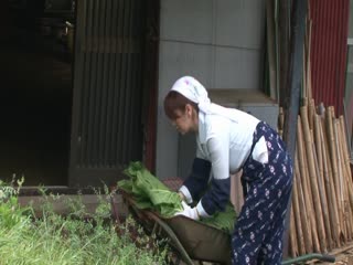 TORG-018二大熟女の背徳交尾风间ゆみ翔田千里